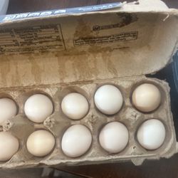 Fresh Eggs Organic 