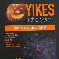 Spiderweb Lights