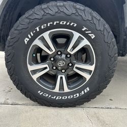 Tacoma Wheel 05-15