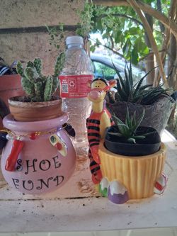 Ceramic pot with plant