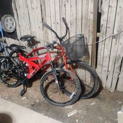 Seachange Beach Cruiser And A next Gavntlet