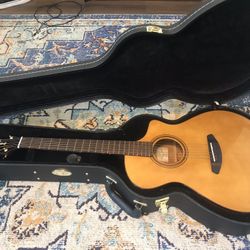 Breedlove Organic Pro Performer CN CE