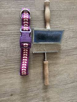 Dog Collar And Dog Grooming Brushes