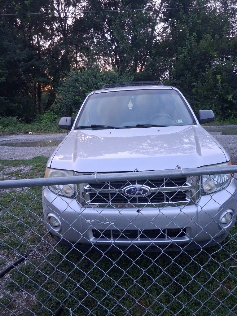 2010 Ford Escape
