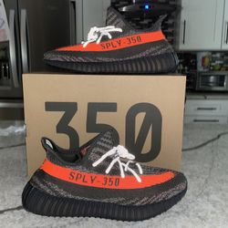 Yeezy 350 Carbon Beluga