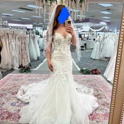 Gorgeous Wedding Dress