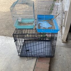 Bird And Rabbit Cages 