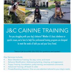 Canine Training