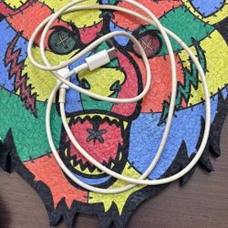 Apple brand Old Gen lightning cable 