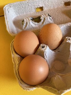 Chicken Eggs 