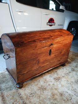 Unique and distinctive very large trunk