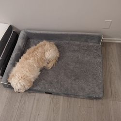 Large Size Washable Dog Bed