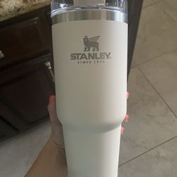 Stanley Quencher Travel Tumbler ALPINE BEIGE