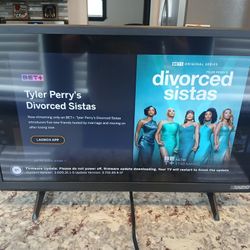 24 IN VIZIO TV NO REMOTE