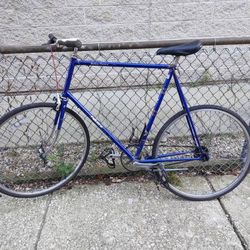 Large size Takara single speed road bike w/ flatbar