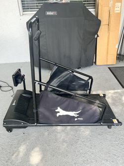 Dog Treadmill