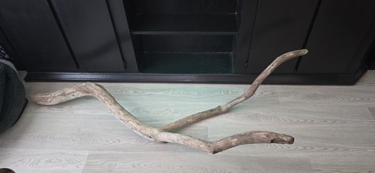 Aquarium Decor