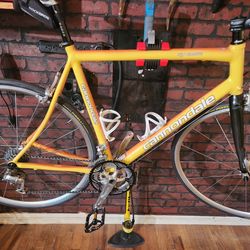 Cannondale Synapses  hand built in USA!