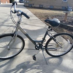 Women’s bike (Raleigh)10 speed
