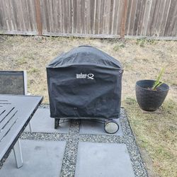 Weber Q 3200 Gas Grill