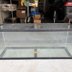 55 Gallon Tank