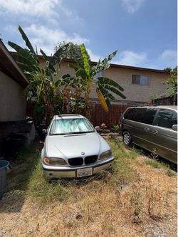 BMW 325i not running