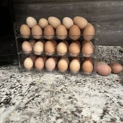 Huevos De Rancho 