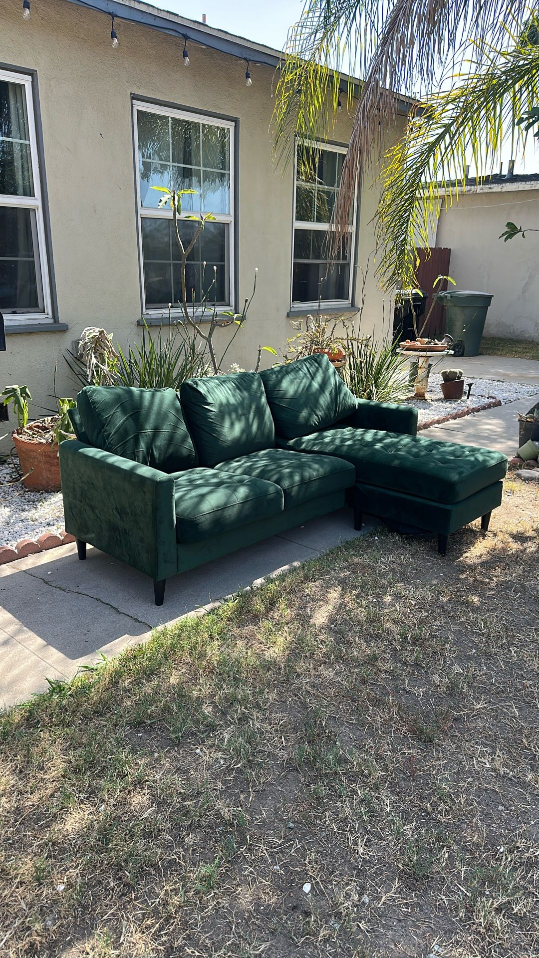 $50 Green Couch