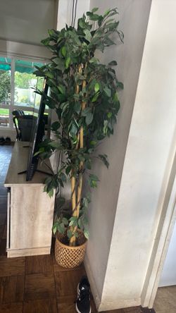 Fake plant
