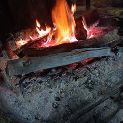 Seasoned Firewood Sale