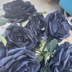 Black Roses