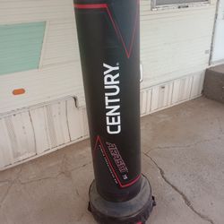 Punching Bag 