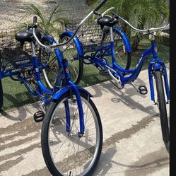 Schwinn Adult Tricycle  $150 Each.  
