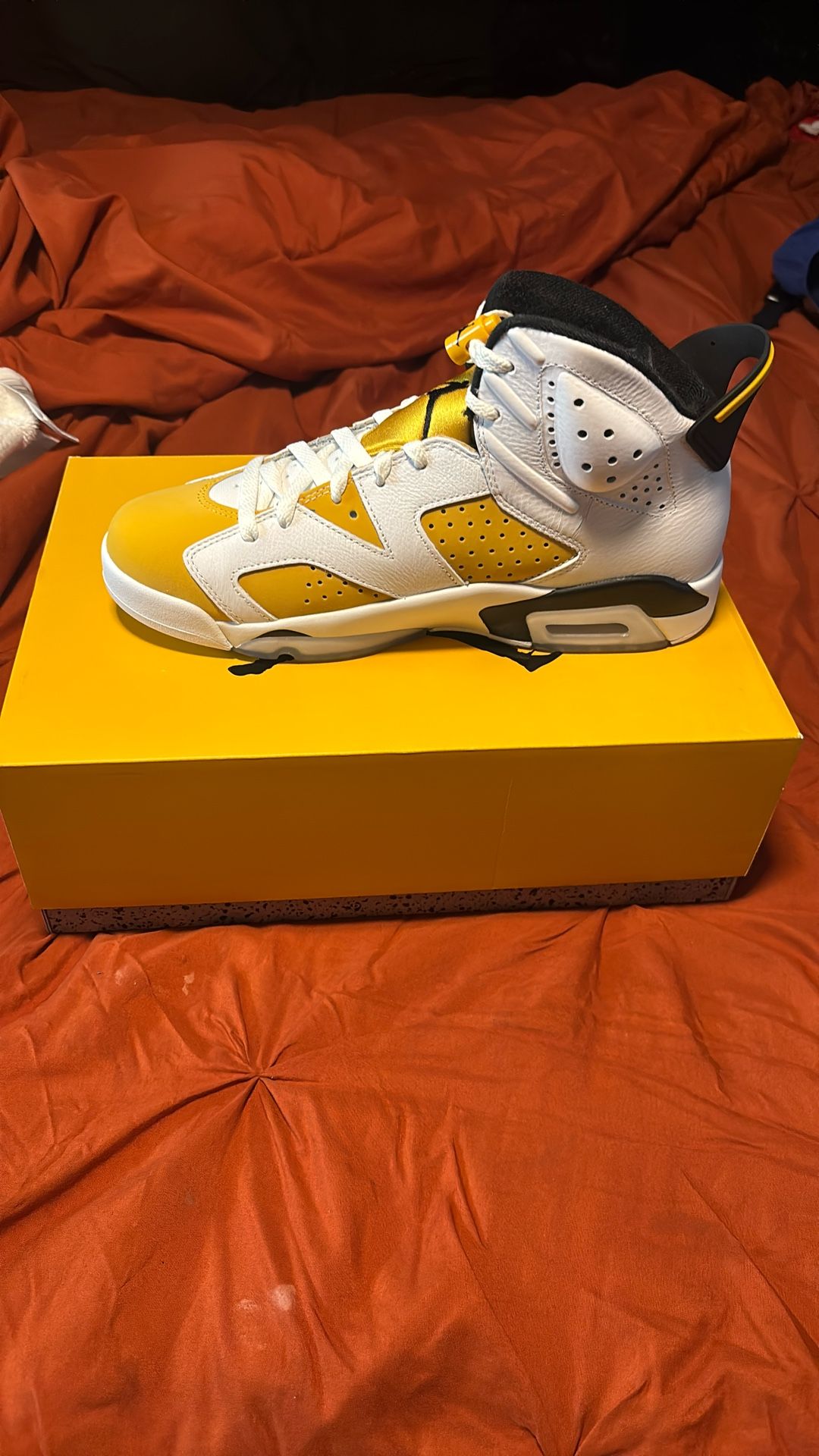 Air Jordan