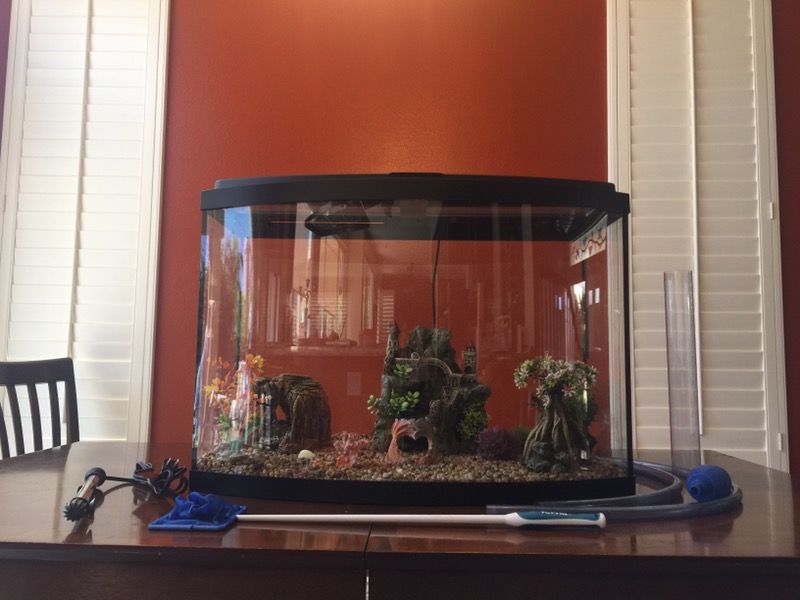 Seaclear 36 Gallon Bowfront Acrylic Aquarium Combo Set
