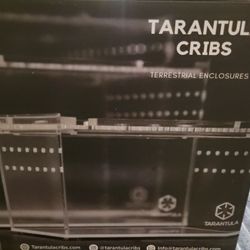 Large Terrestrial Enclosure Clear Bottom Tarantula Crib 12"x8"x8"