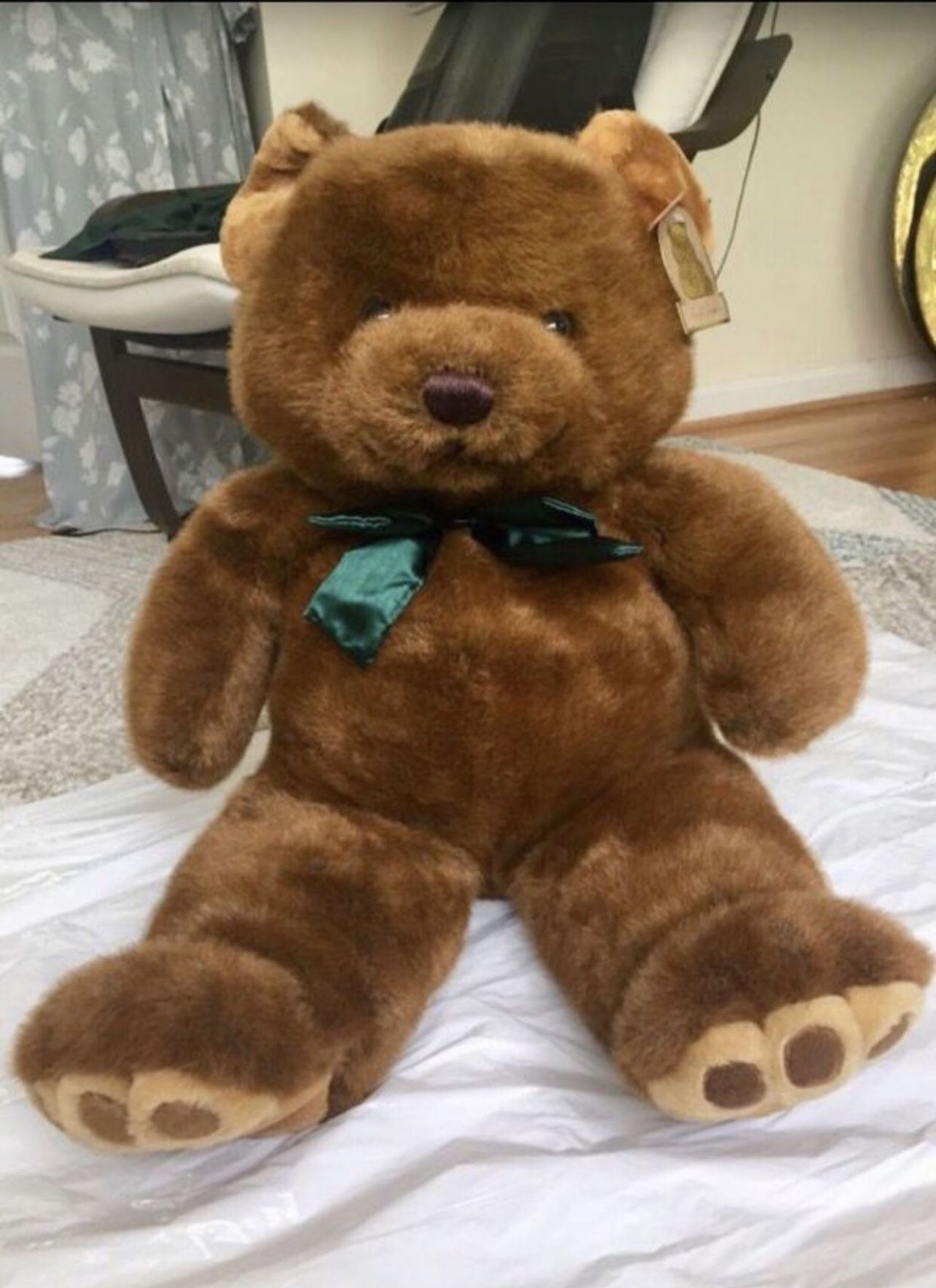 Teddy Bear