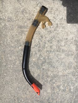 Snorkel