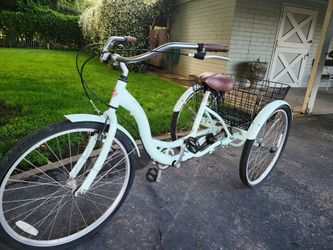 Mint Schwinn Tricycle