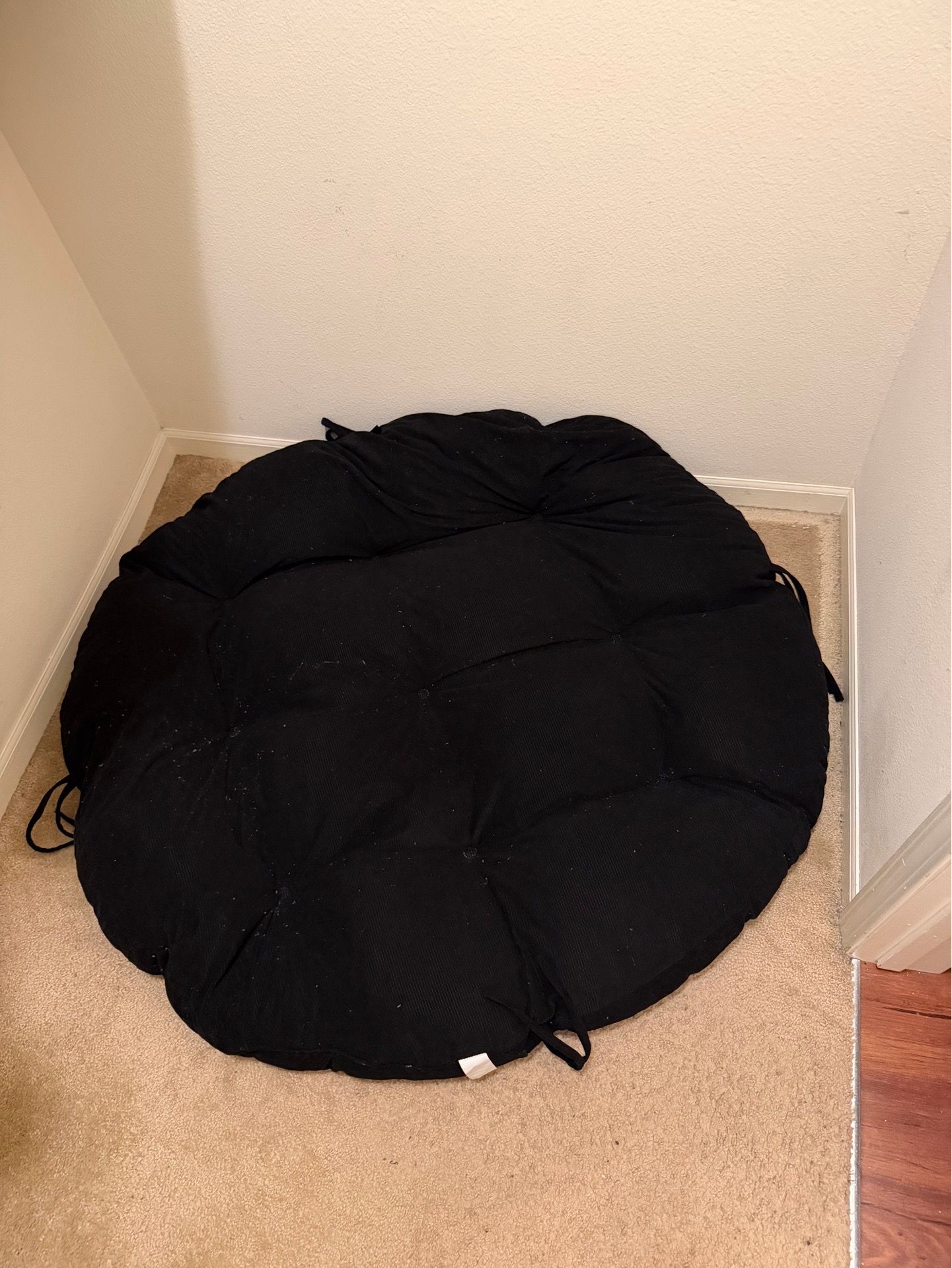 Bean Bag (Chair not included)