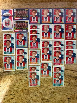 FIFA World Cup Panini Stickers