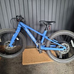 Specialized Kids Bike 20"