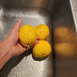 Lemon