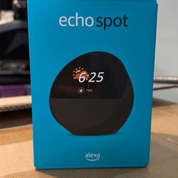 Echo spot