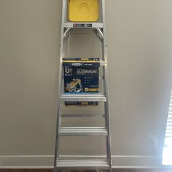 6ft Ladder