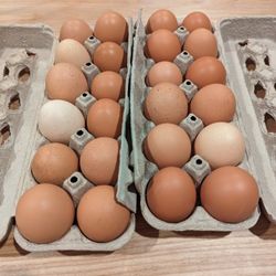 Farm Fresh Eggs