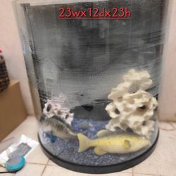 Fish Tank Aquarium