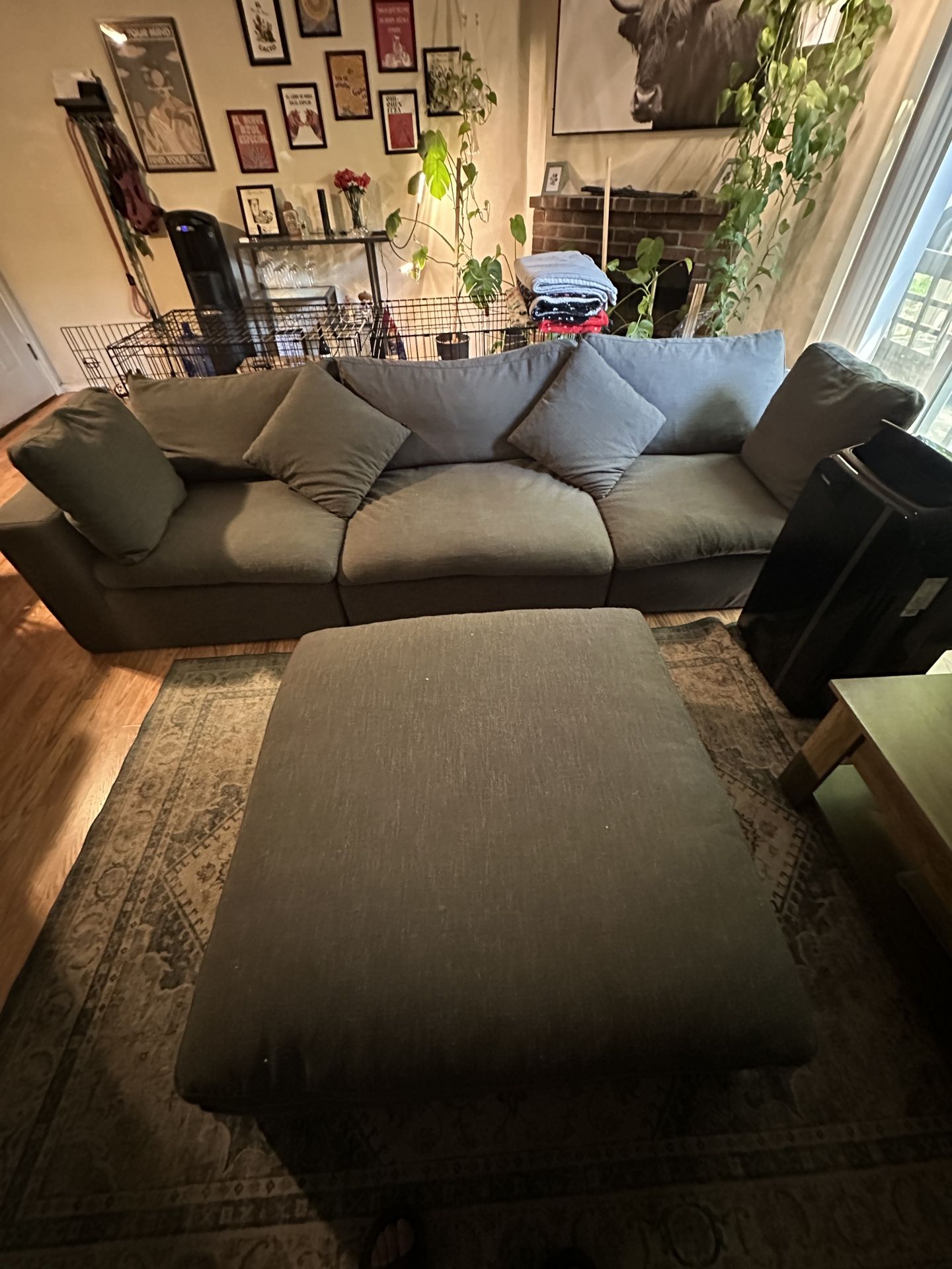 Couches