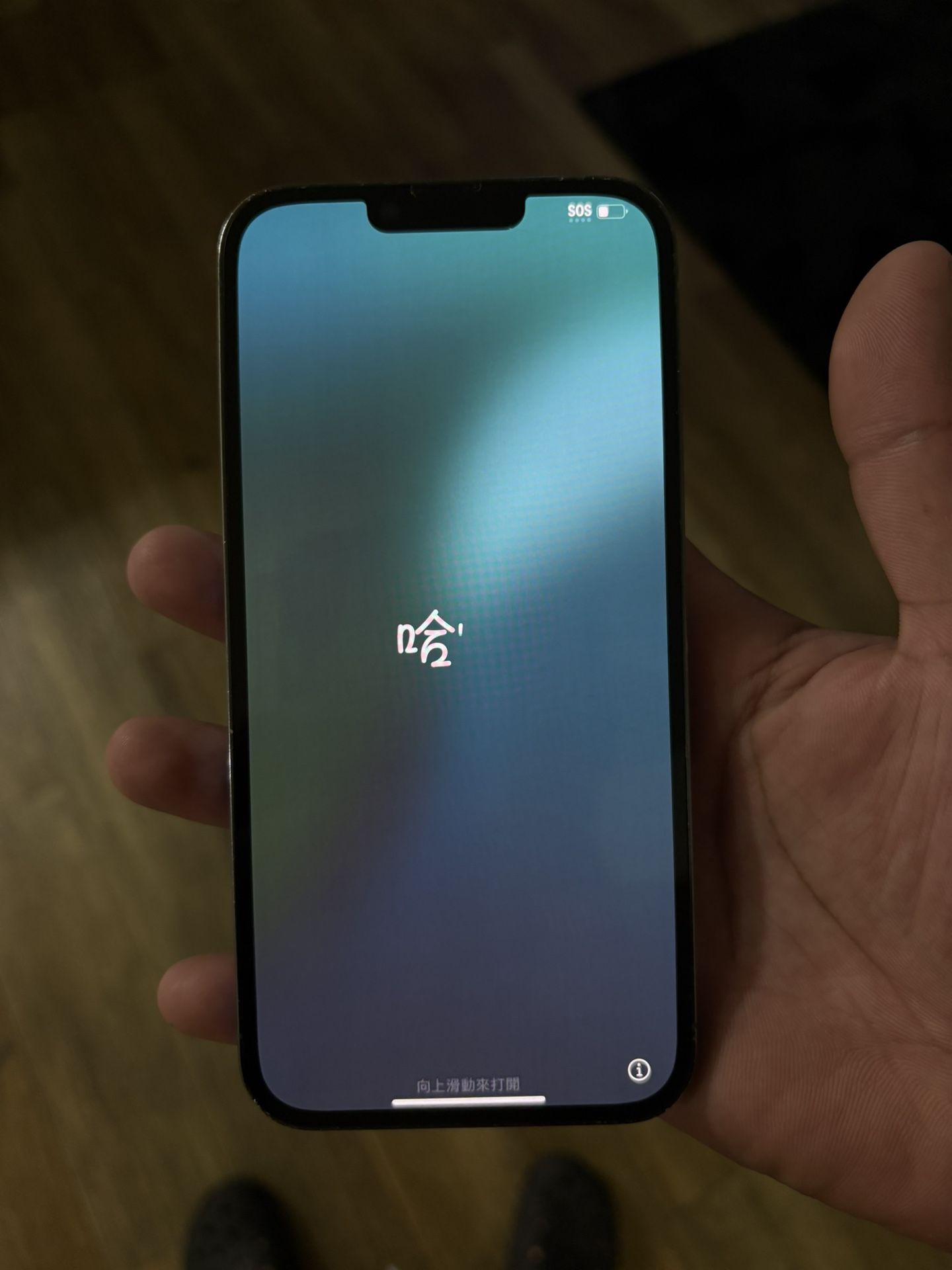 iPhone 13 pro max