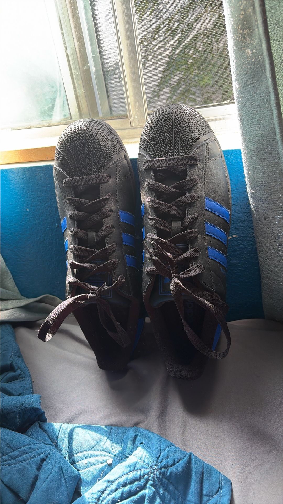 Superstars Blue And Black Adidas